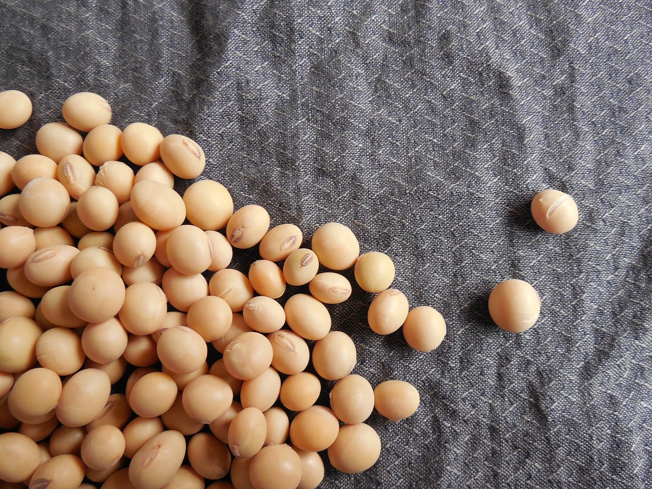 How Does Soy Prove to Be A Great Protein Source for Many People? 